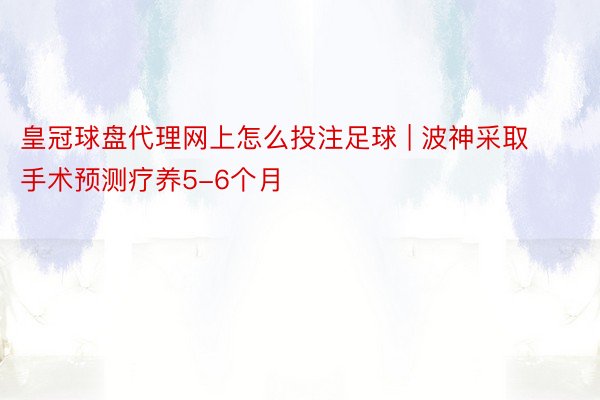 皇冠球盘代理网上怎么投注足球 | 波神采取手术预测疗养5-6个月