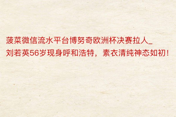 菠菜微信流水平台博努奇欧洲杯决赛拉人_刘若英56岁现身呼和浩特，素衣清纯神态如初！